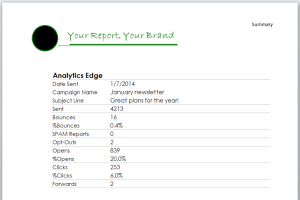 branded-report-example (2)