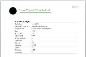 branded-report-example